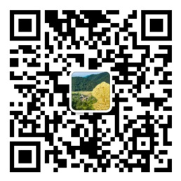 亚洲彩票welcome官方网站
